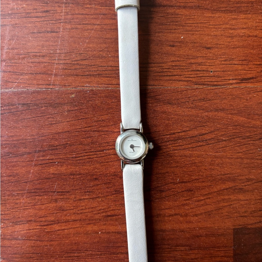 Skagen Petite Watch
